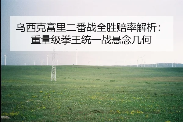 乌西克富里二番战全胜赔率解析：重量级拳王统一战悬念几何